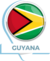 Guyana_flag
